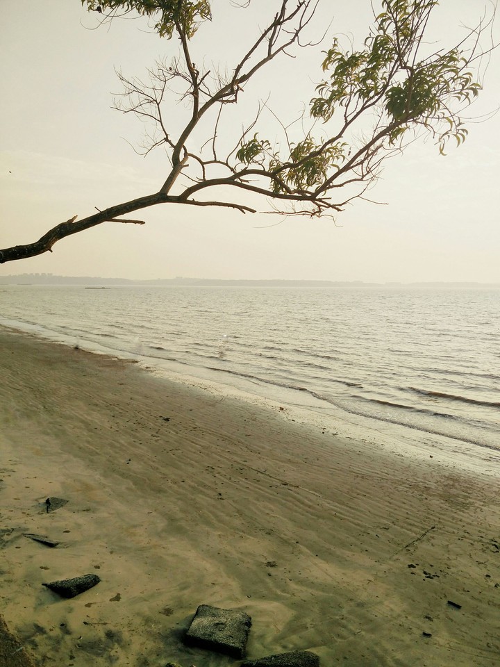 The Beach