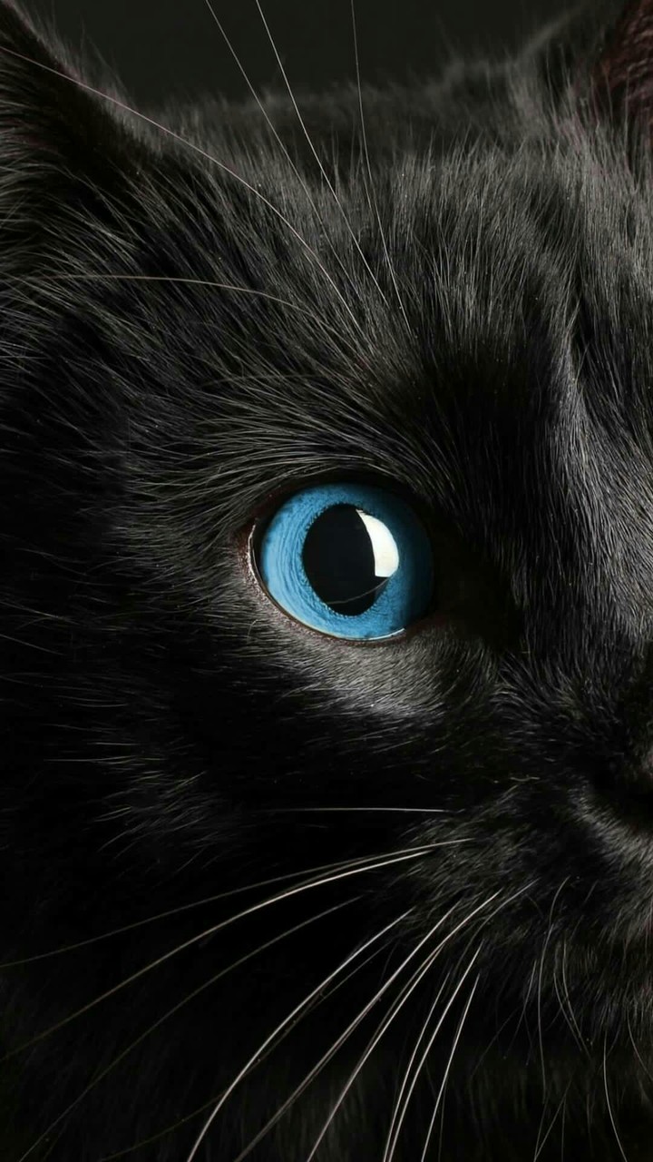 beautiful eyes