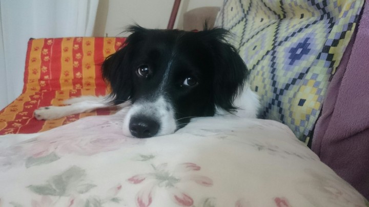 Nina