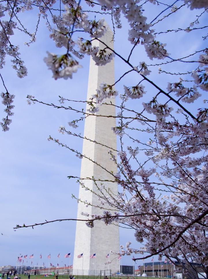 Washington Monument DC