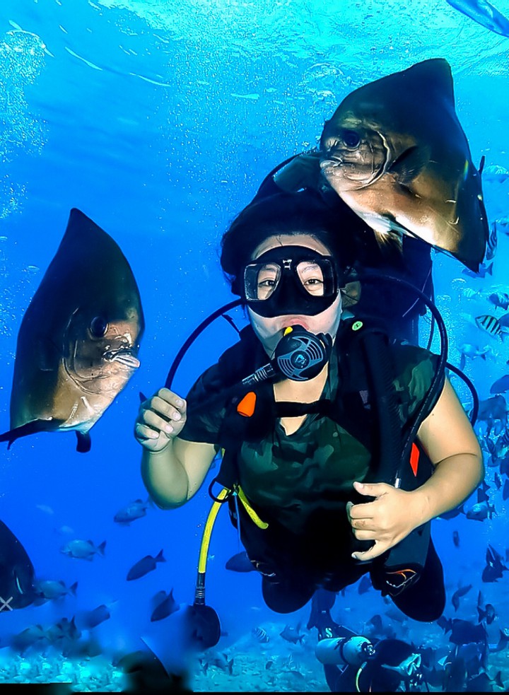 Down Under with the Fishes