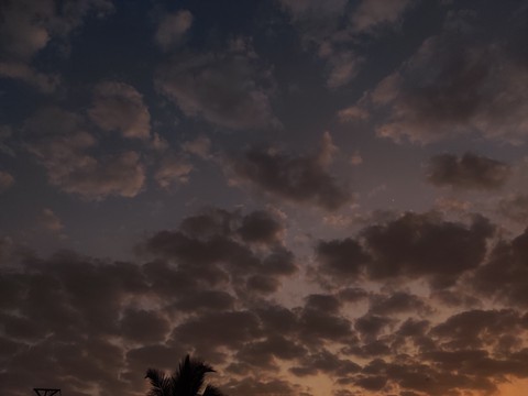 Dawn