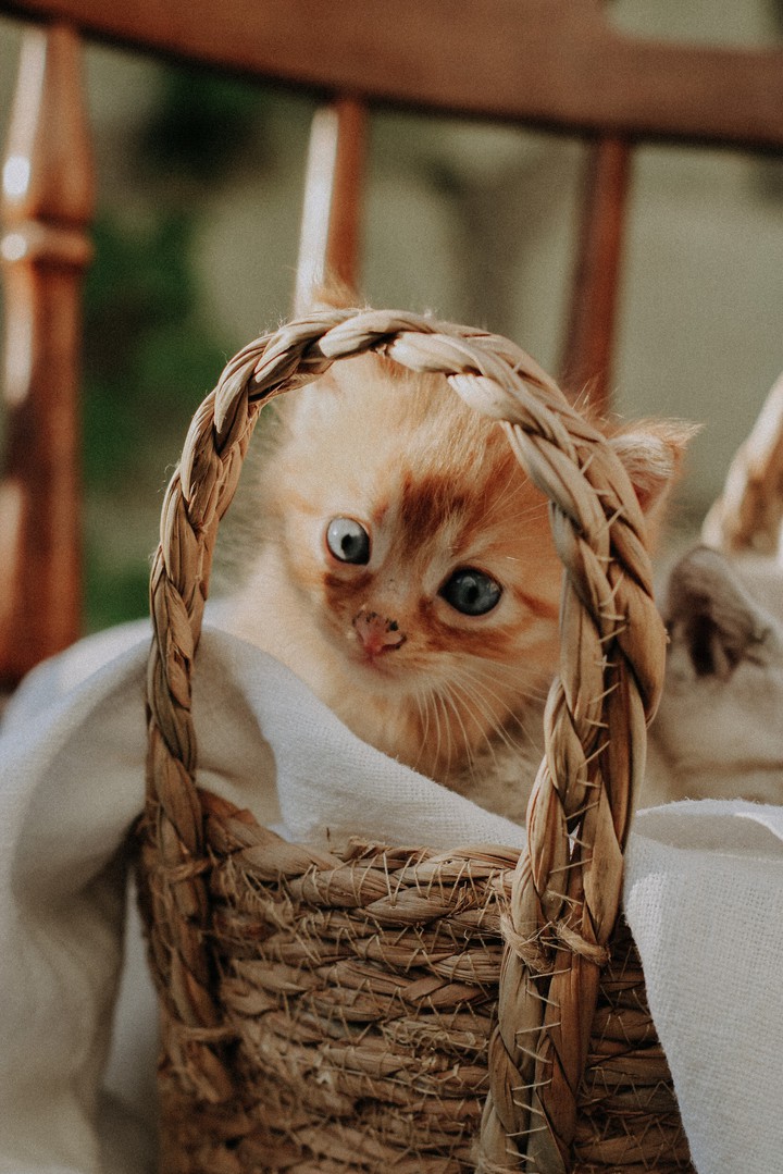 ♡