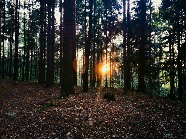sun