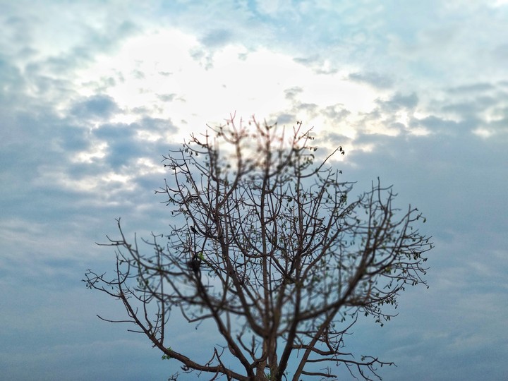 sky blue