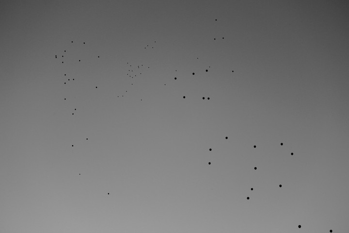 baloons