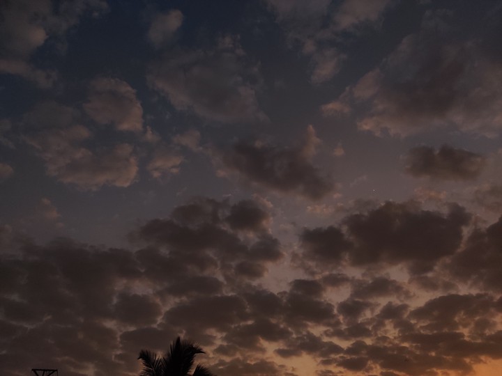 Dawn