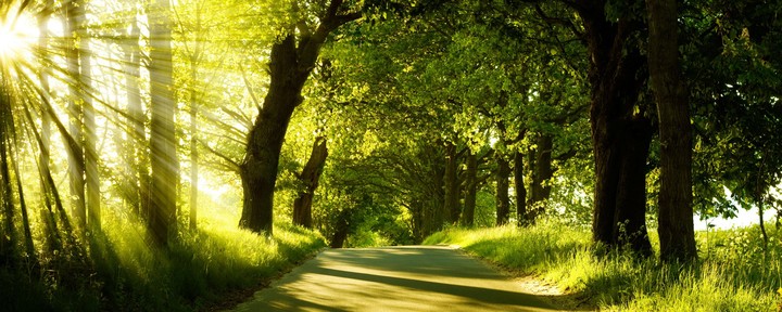 Nature And Light