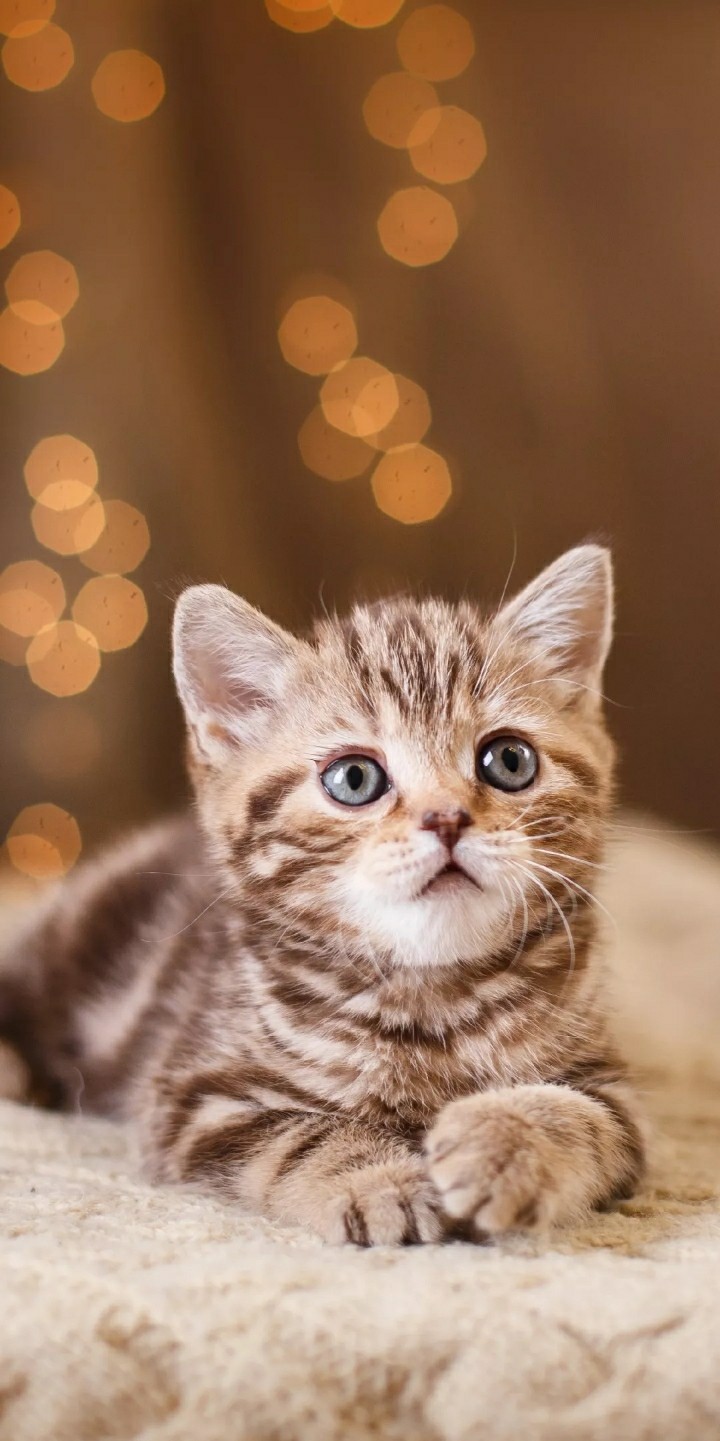 cute