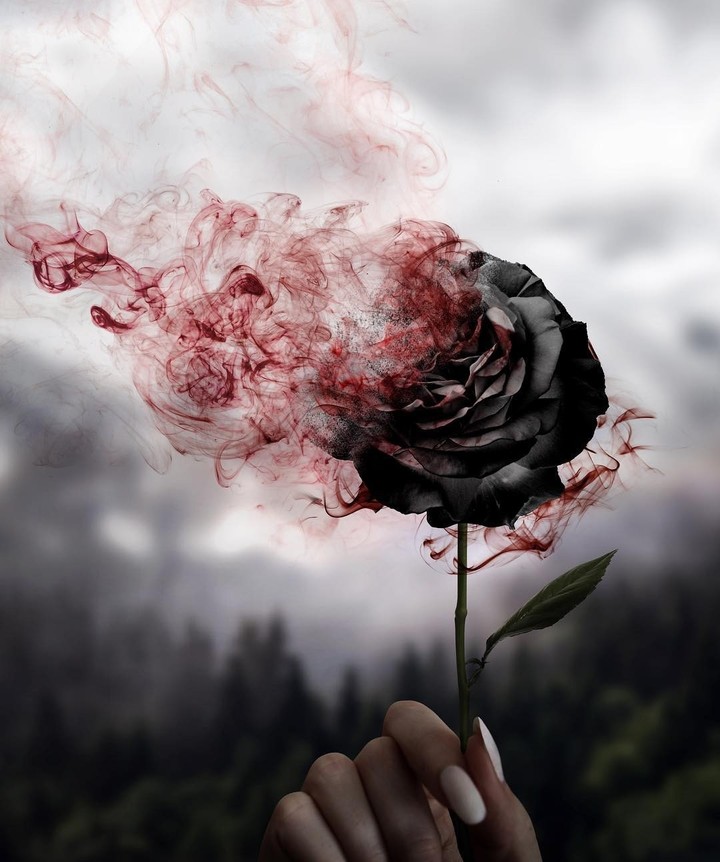 rose