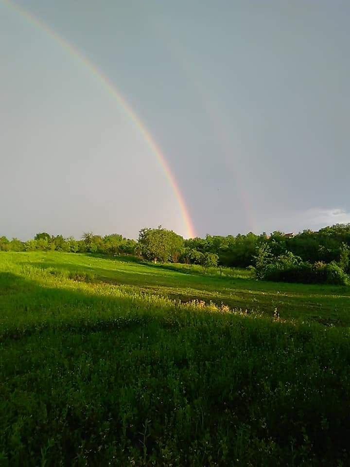 Rainbow ? in my backyard