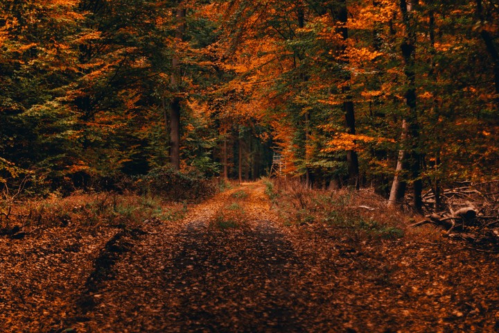Way To Heaven