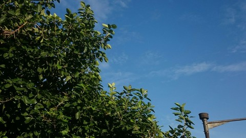love the blue sky