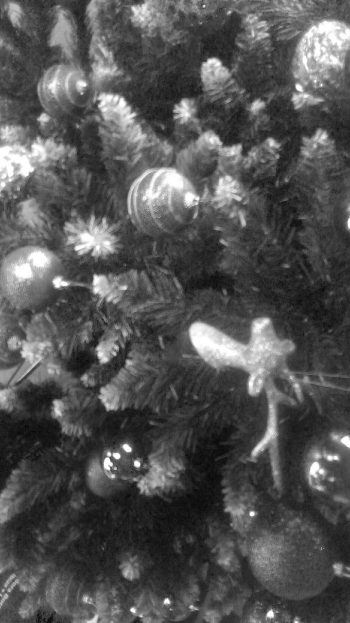 Natal