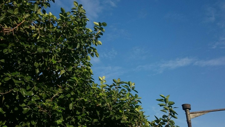 love the blue sky