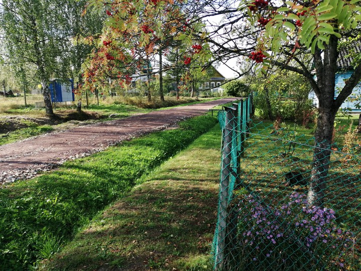 улица