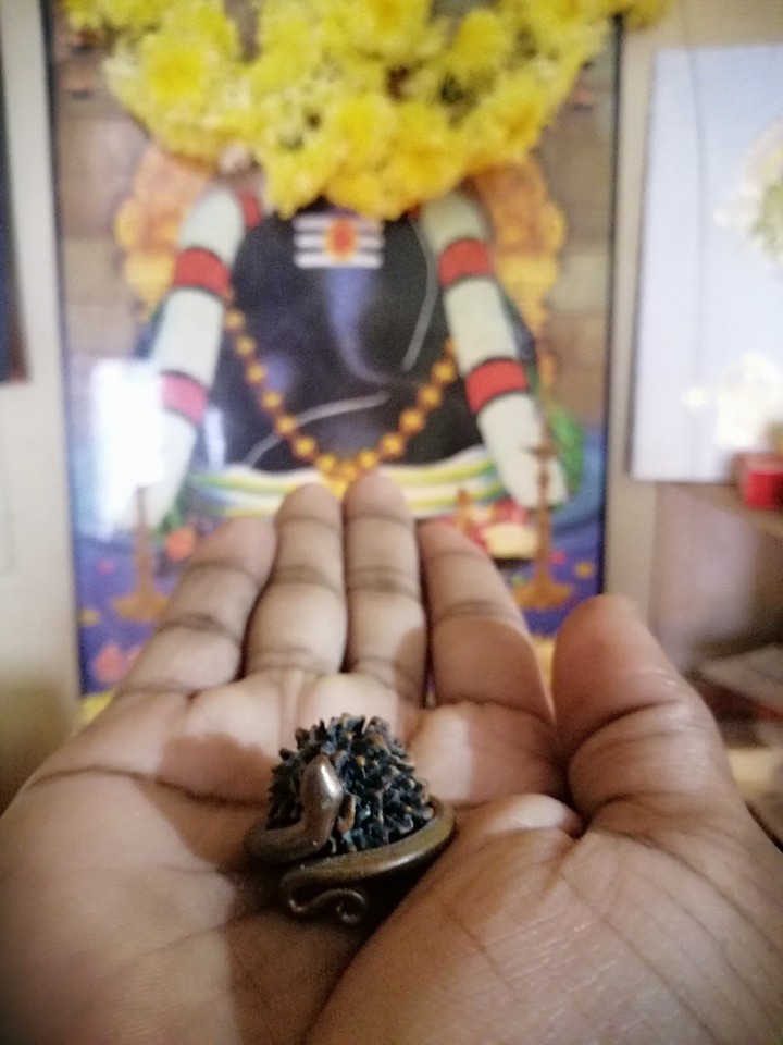 Shiva Devotional