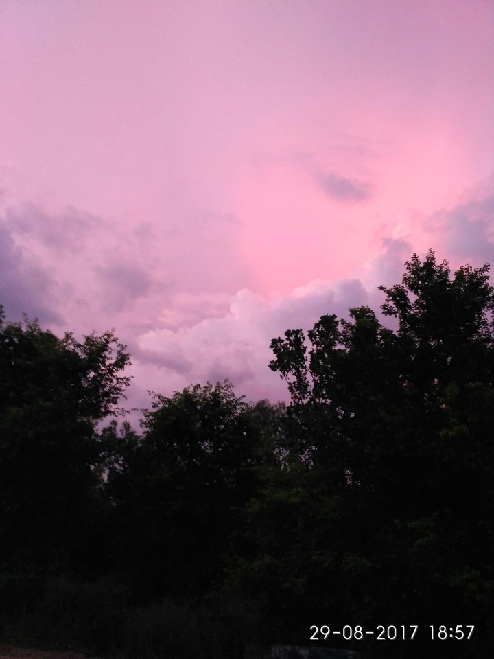 nature