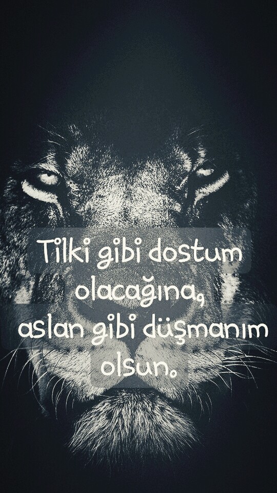 dost düşman
