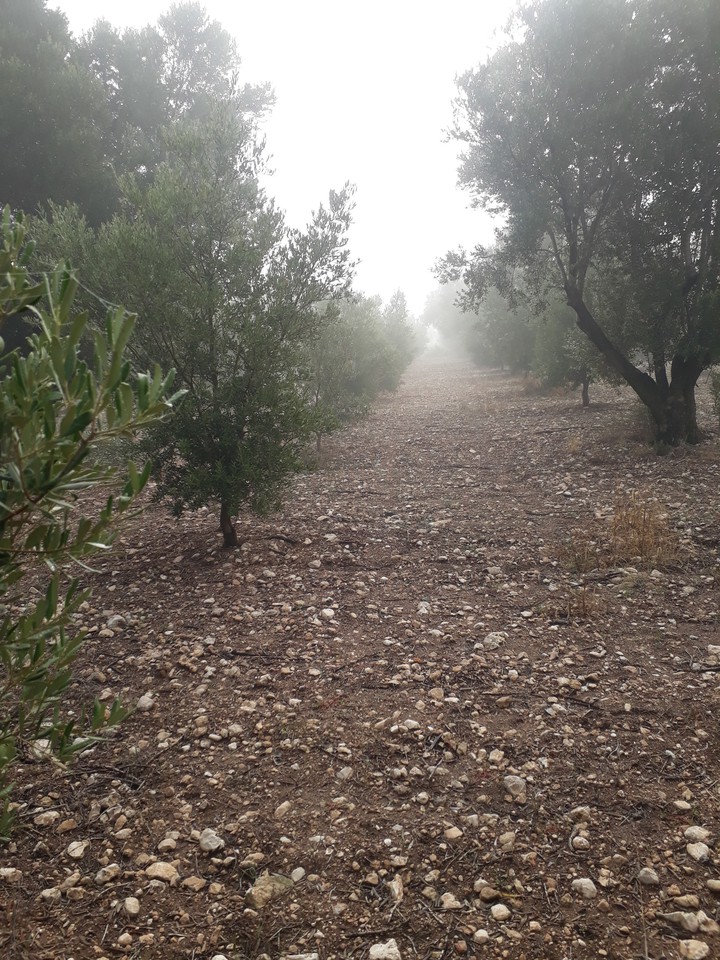 doğa
