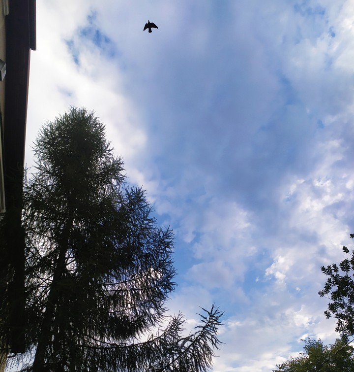 небо