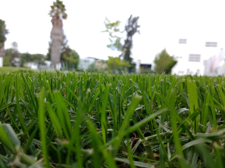 Naturaleza