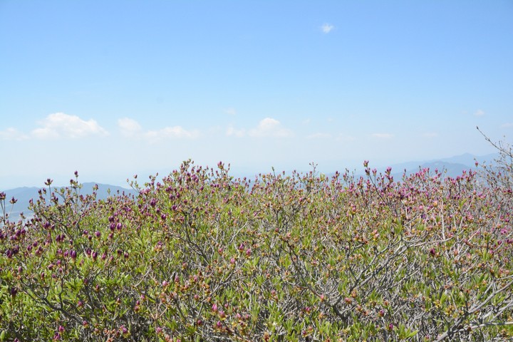 지리산이미지
