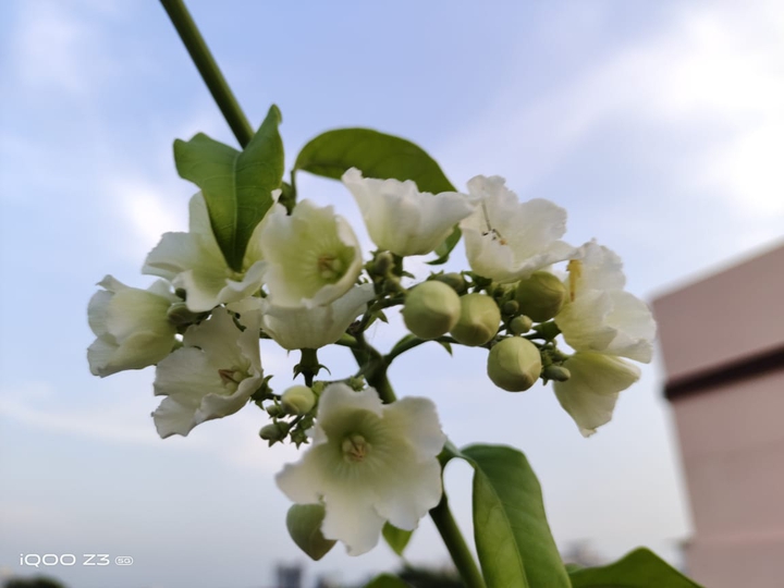 beautiful nature