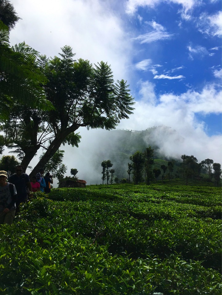 clouds rushing through