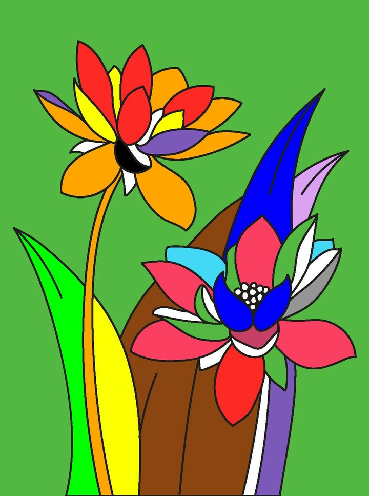 colorfull