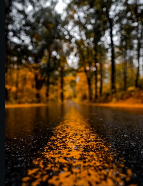 шпалери Autumn, nature