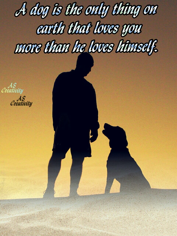love between human nd dog