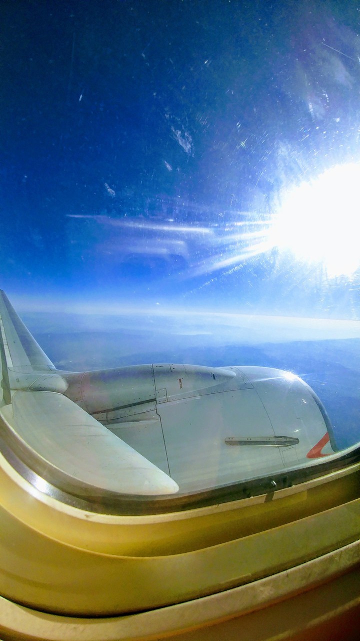 fly