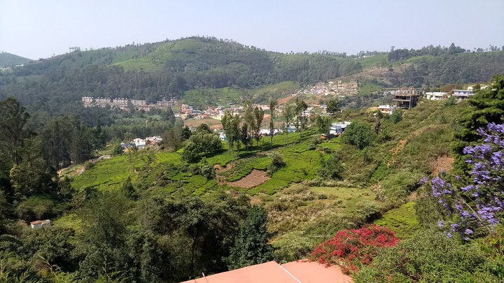 Conoor landscape