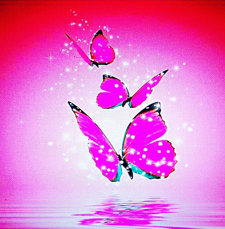 Mariposas