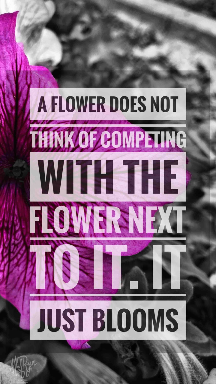 Inspiration quote