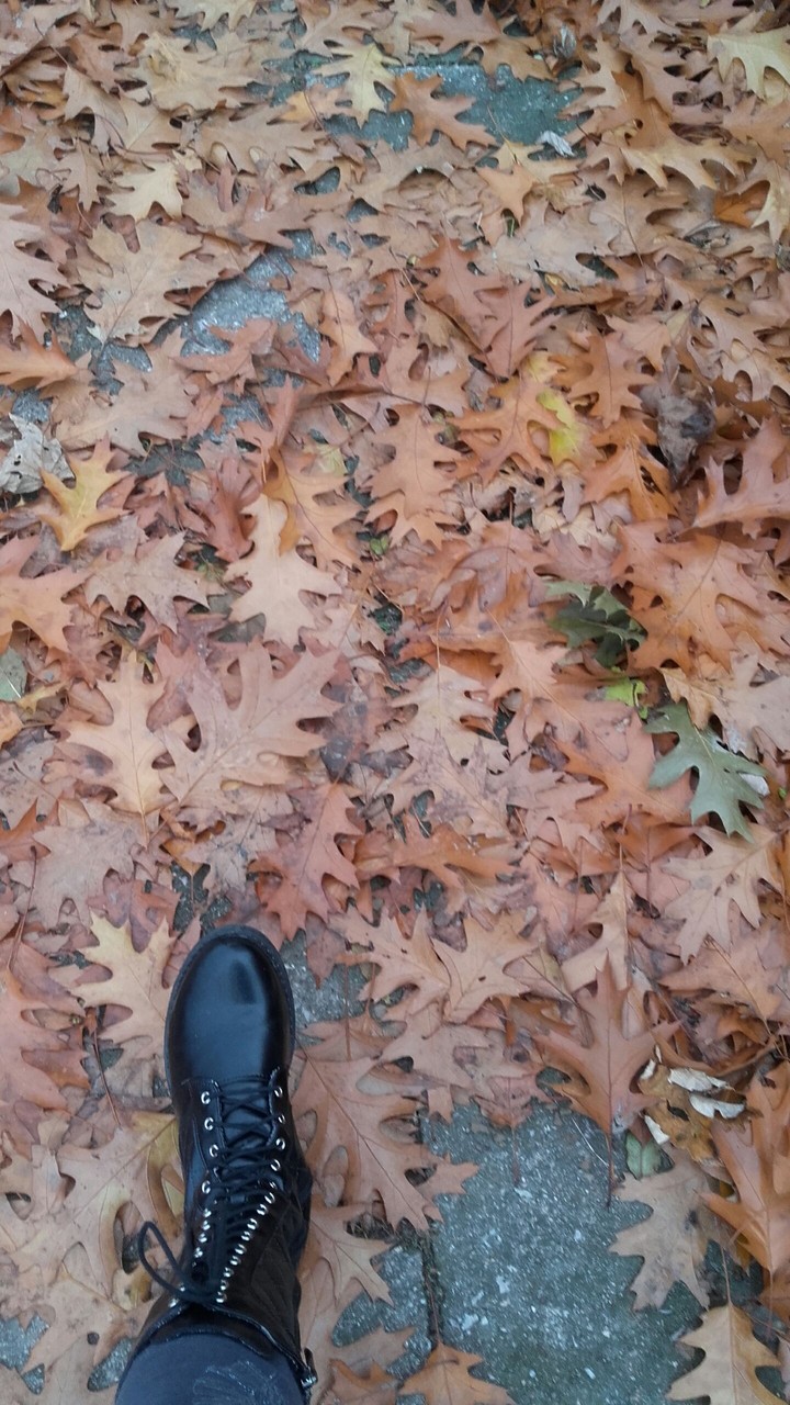 walk to the shop^^ hello autumn!