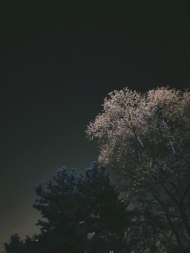 april night