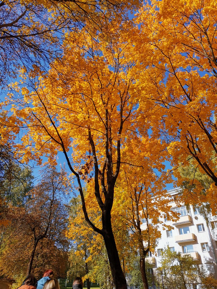 fall