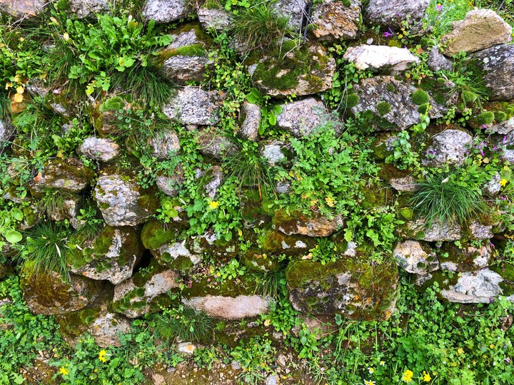 stones