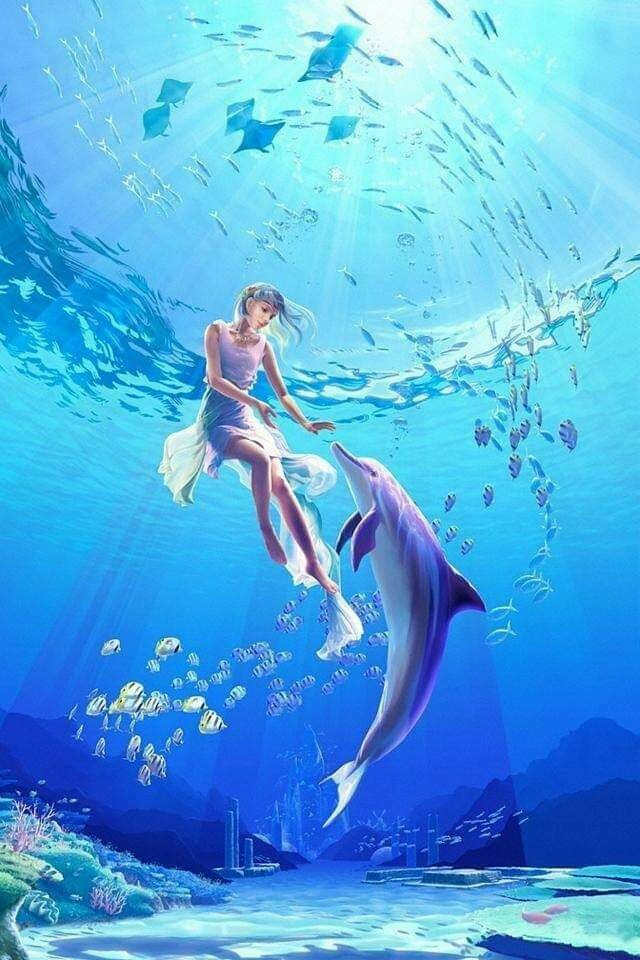dolphin