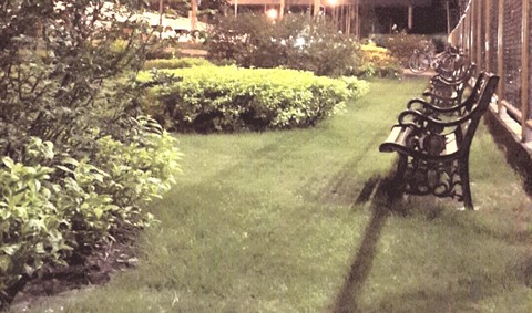 garden