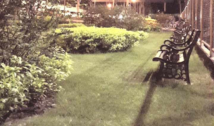 garden