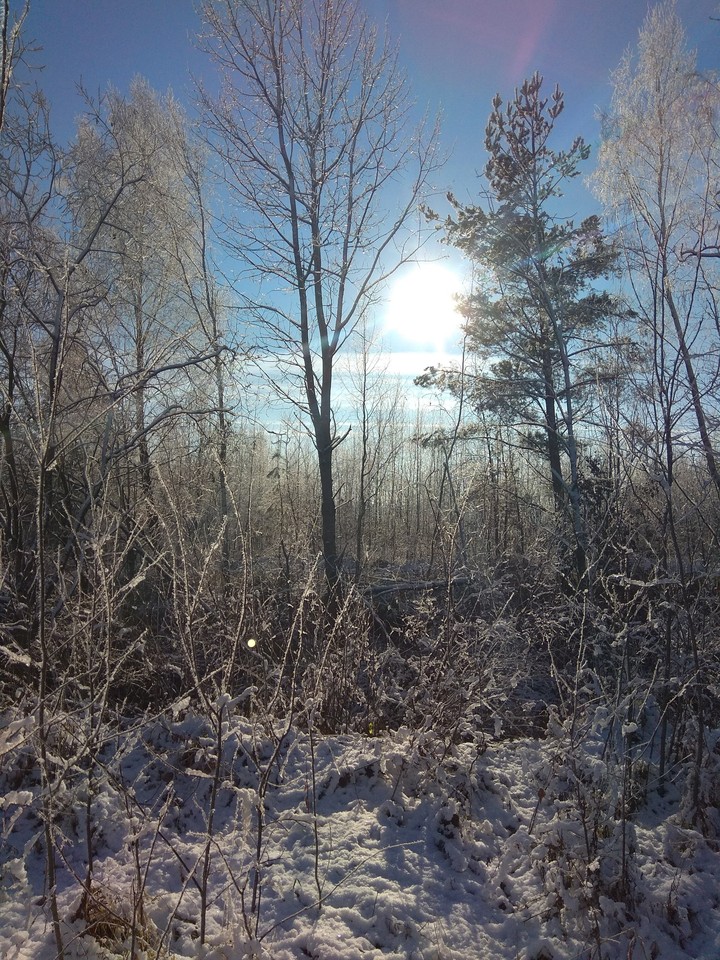 Немного зимы