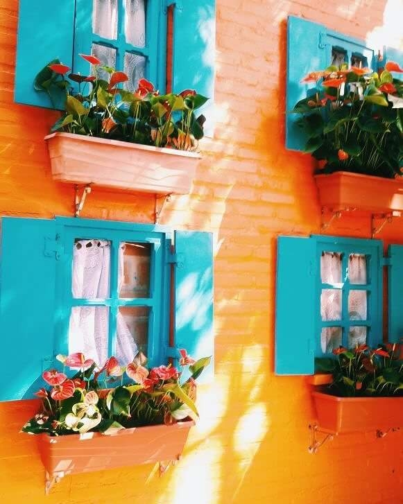Janelas