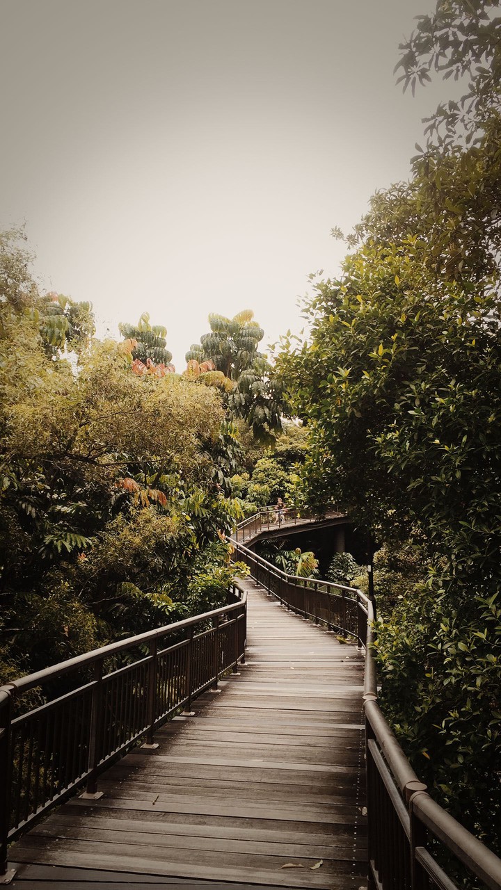 nature