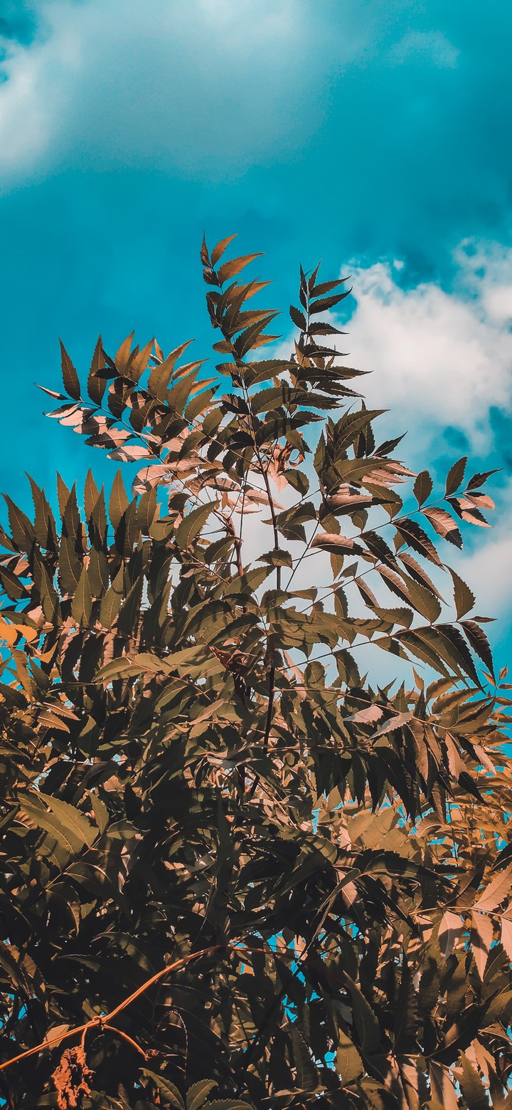 sky
