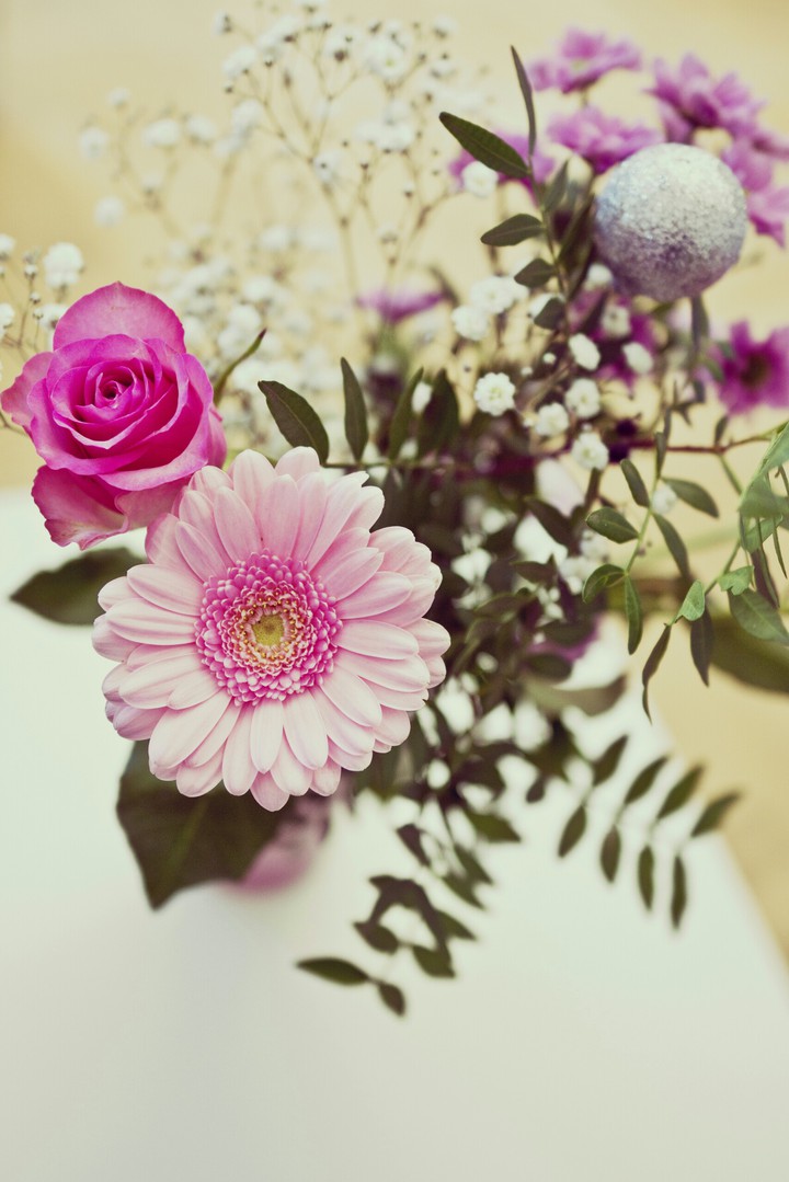 Bellas Flores