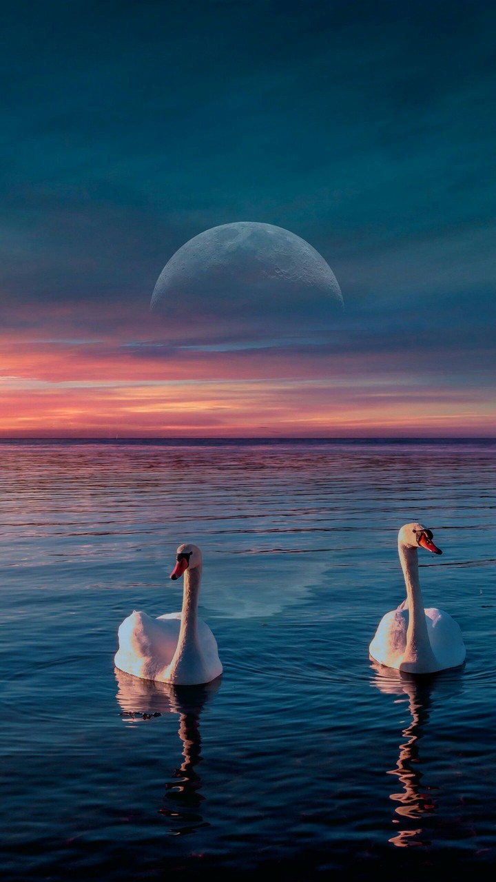Blue orange sky