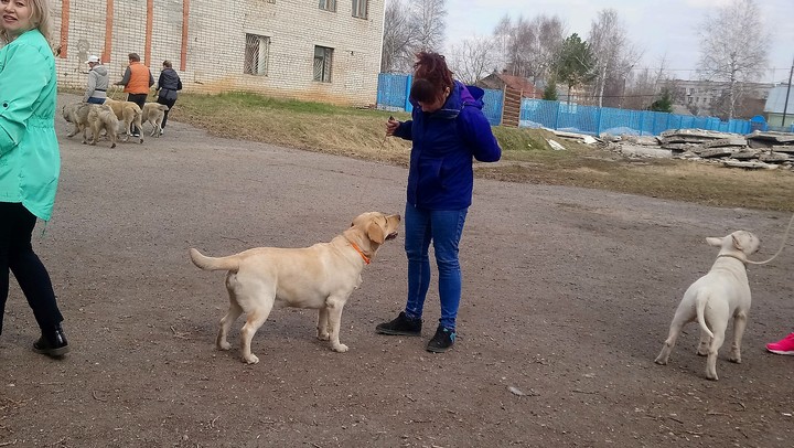 ппмио